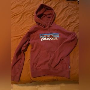 Small women’s Patagonia hoodie